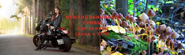 амфетамин Алексин