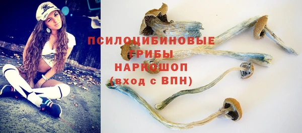 сатива Алзамай