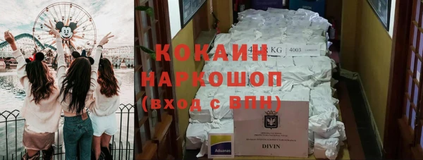 сатива Алзамай