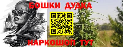 гашик Пенза
